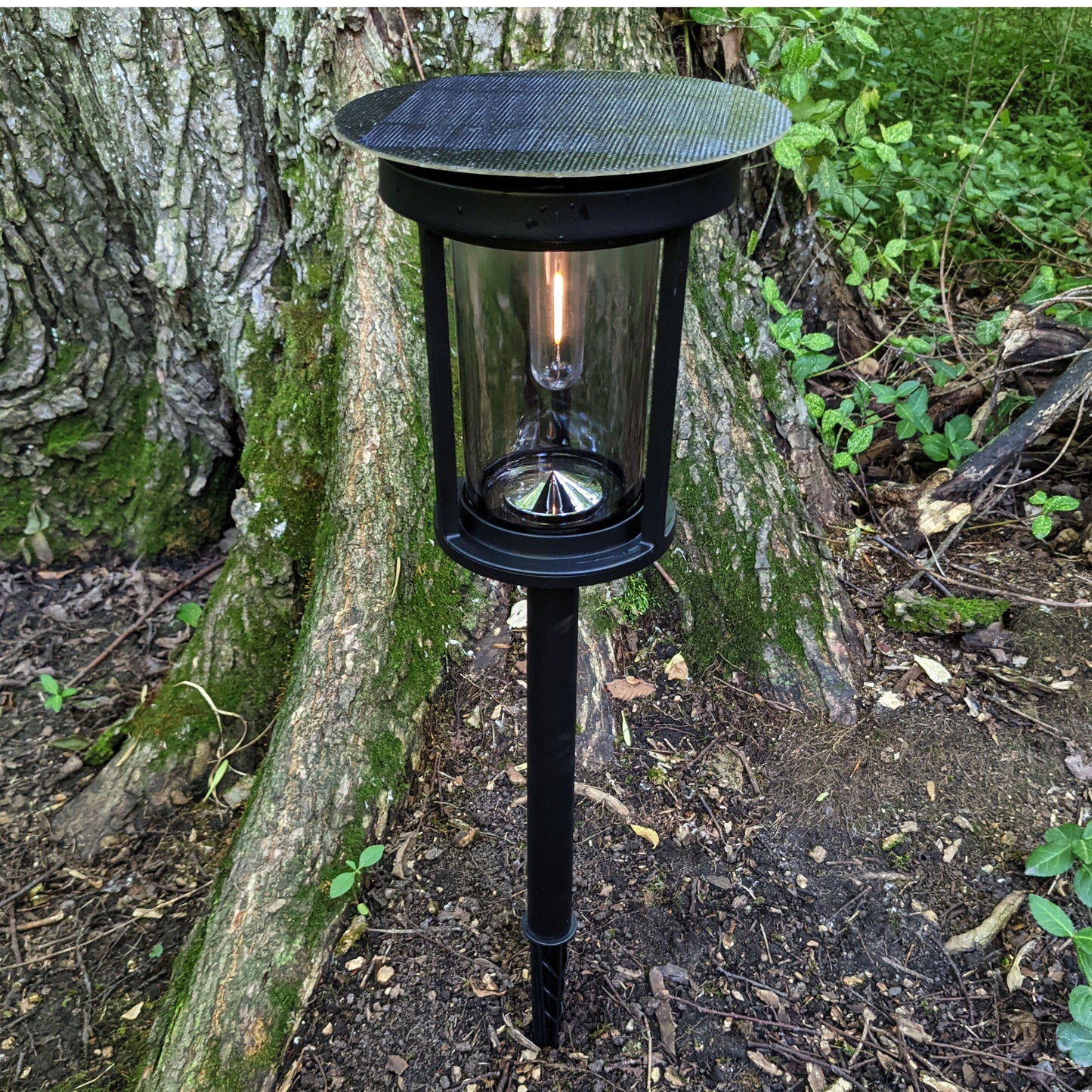 Mesa Lantern by Shade Solar®, Dusk to Dawn Illumination in Shade or Sun