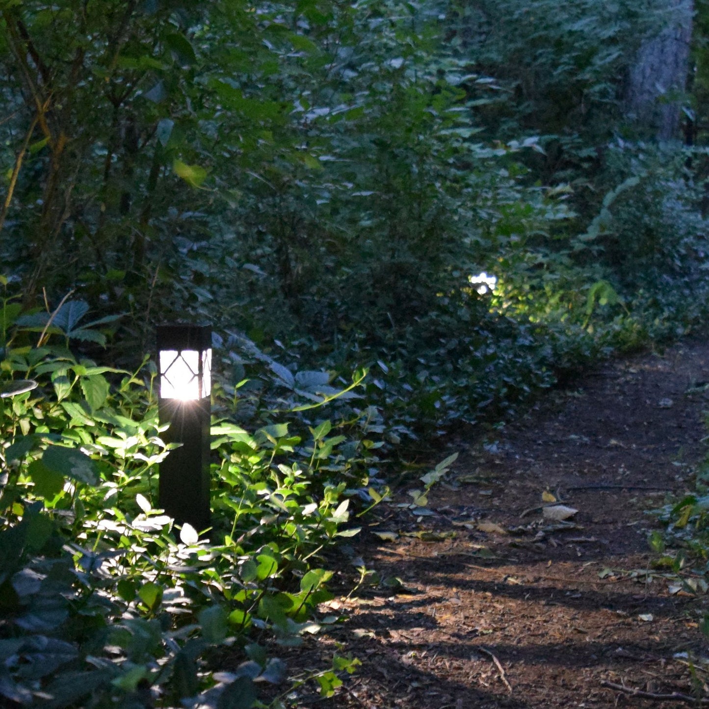 Malibu Marker by Shade Solar®, Dusk to Dawn Illumination in Shade or Sun