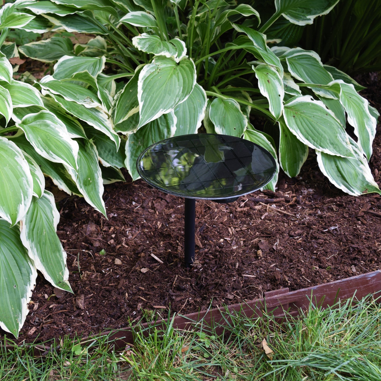 Luna Edge by Shade Solar®, Dusk to Dawn Illumination in Shade or Sun