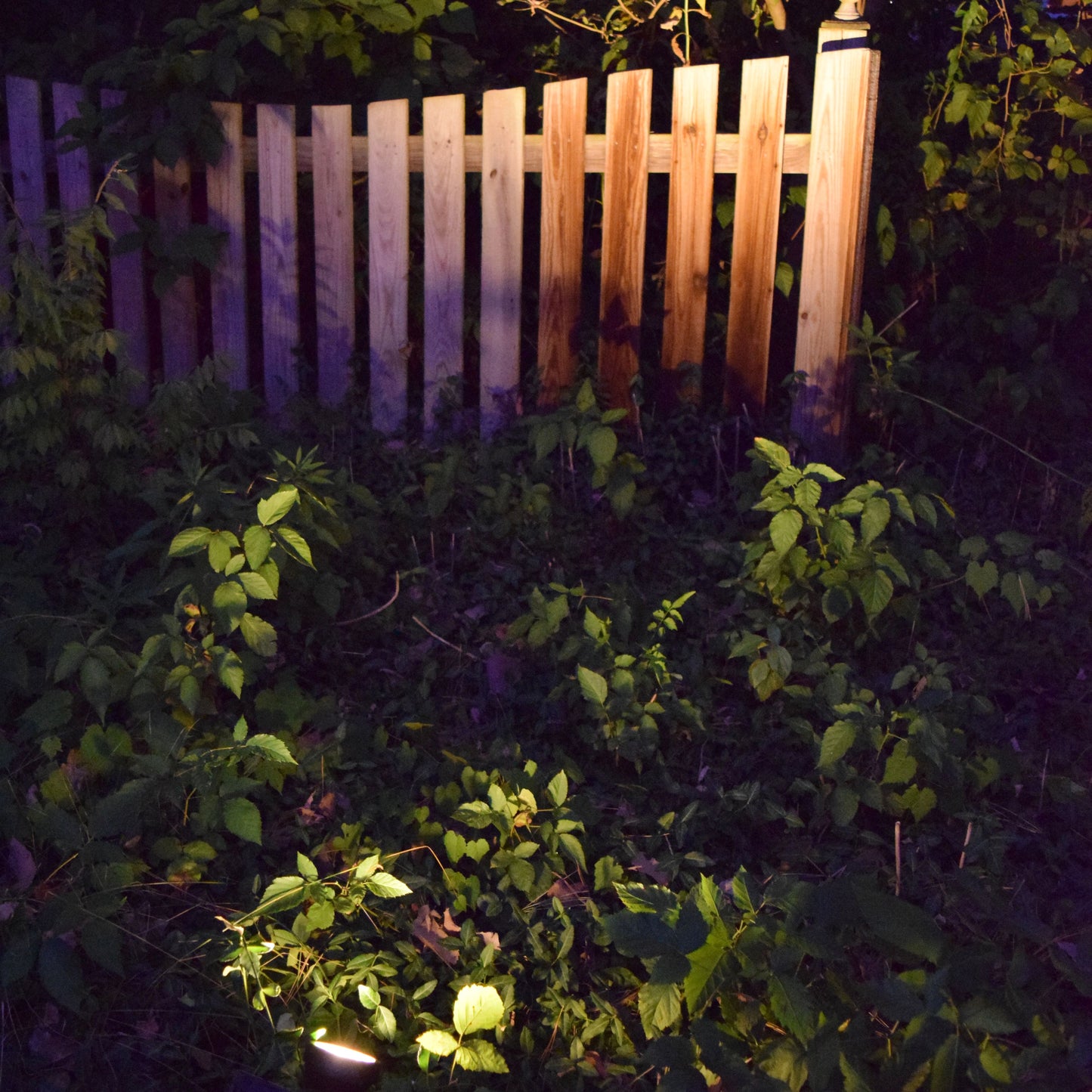 Shade-1 Aspen Floodlight by Shade Solar®, Dusk to Dawn Illumination in Shade or Sun