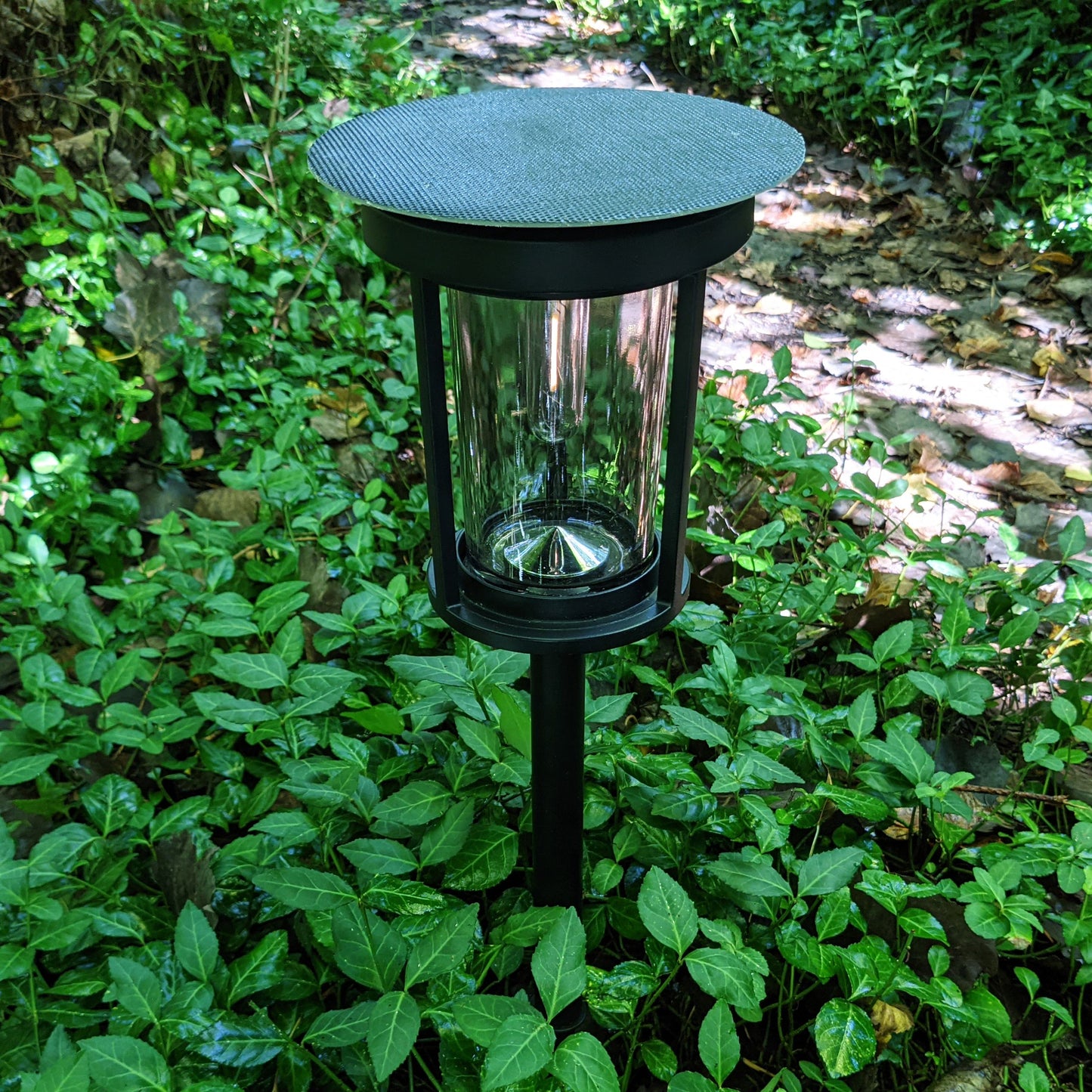 Mesa Lantern by Shade Solar®, Dusk to Dawn Illumination in Shade or Sun