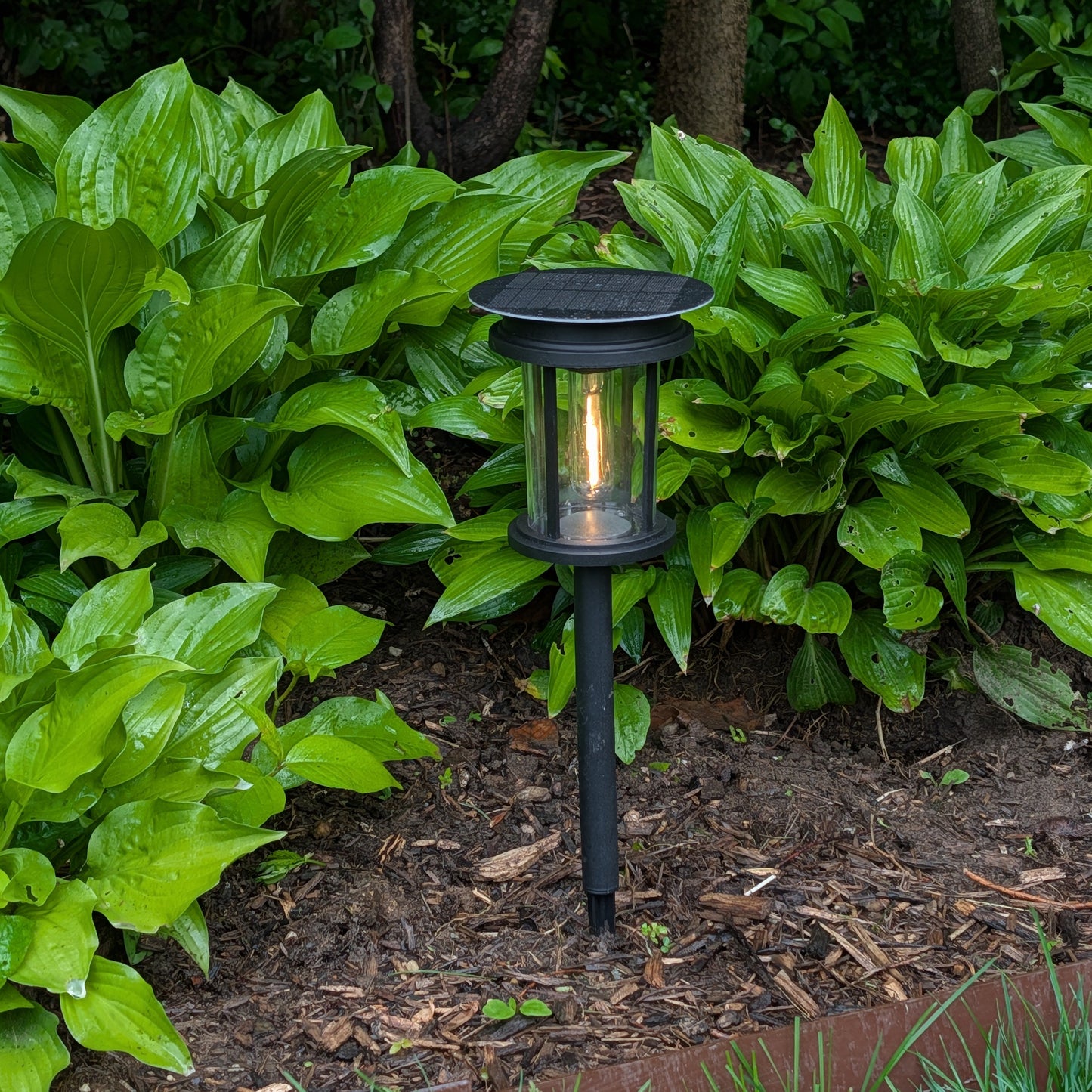 Mesa+ Lantern SHADE SOLAR® solar light provides dusk to dawn Illumination in shade or sun