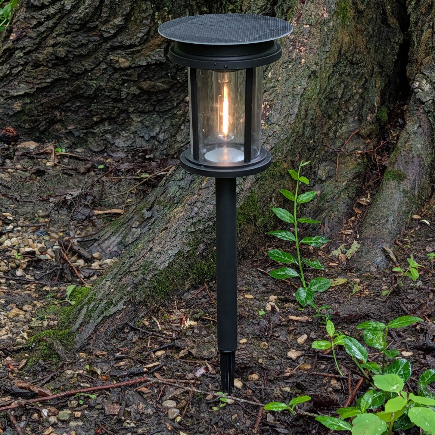 Mesa+ Lantern SHADE SOLAR® solar light provides dusk to dawn Illumination in shade or sun