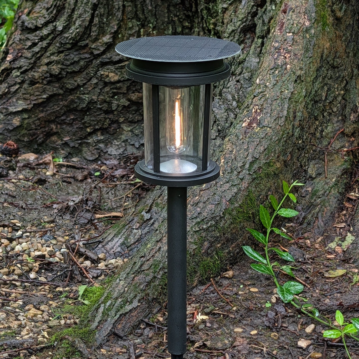 Mesa+ Lantern SHADE SOLAR® solar light provides dusk to dawn Illumination in shade or sun