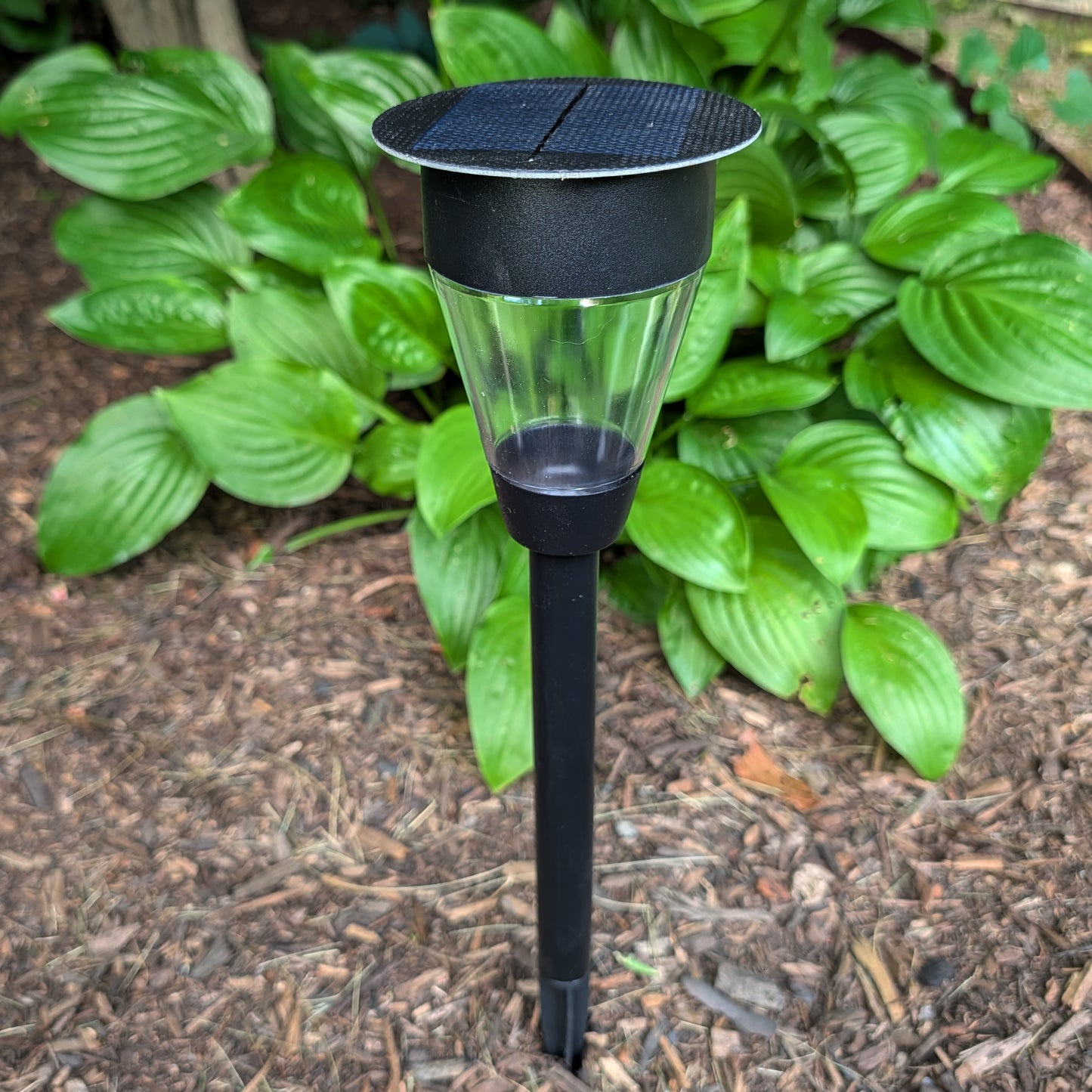 Tahoe Lantern SHADE SOLAR® solar light provides dusk to dawn Illumination in shade or sun