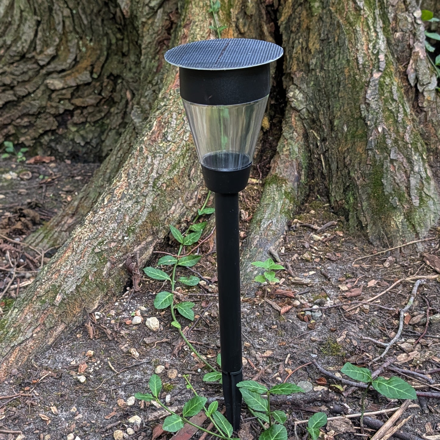 Tahoe Lantern SHADE SOLAR® solar light provides dusk to dawn Illumination in shade or sun